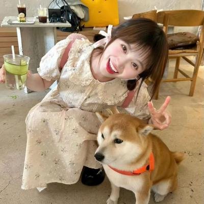 挑情记